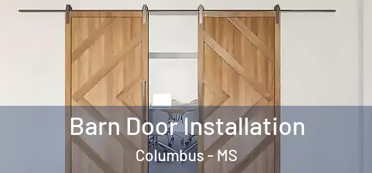Barn Door Installation Columbus - MS
