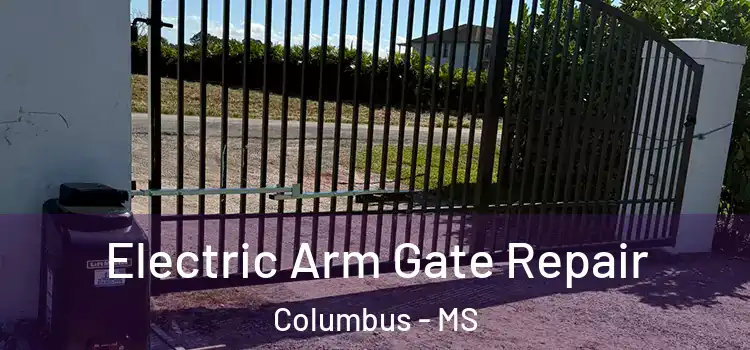 Electric Arm Gate Repair Columbus - MS